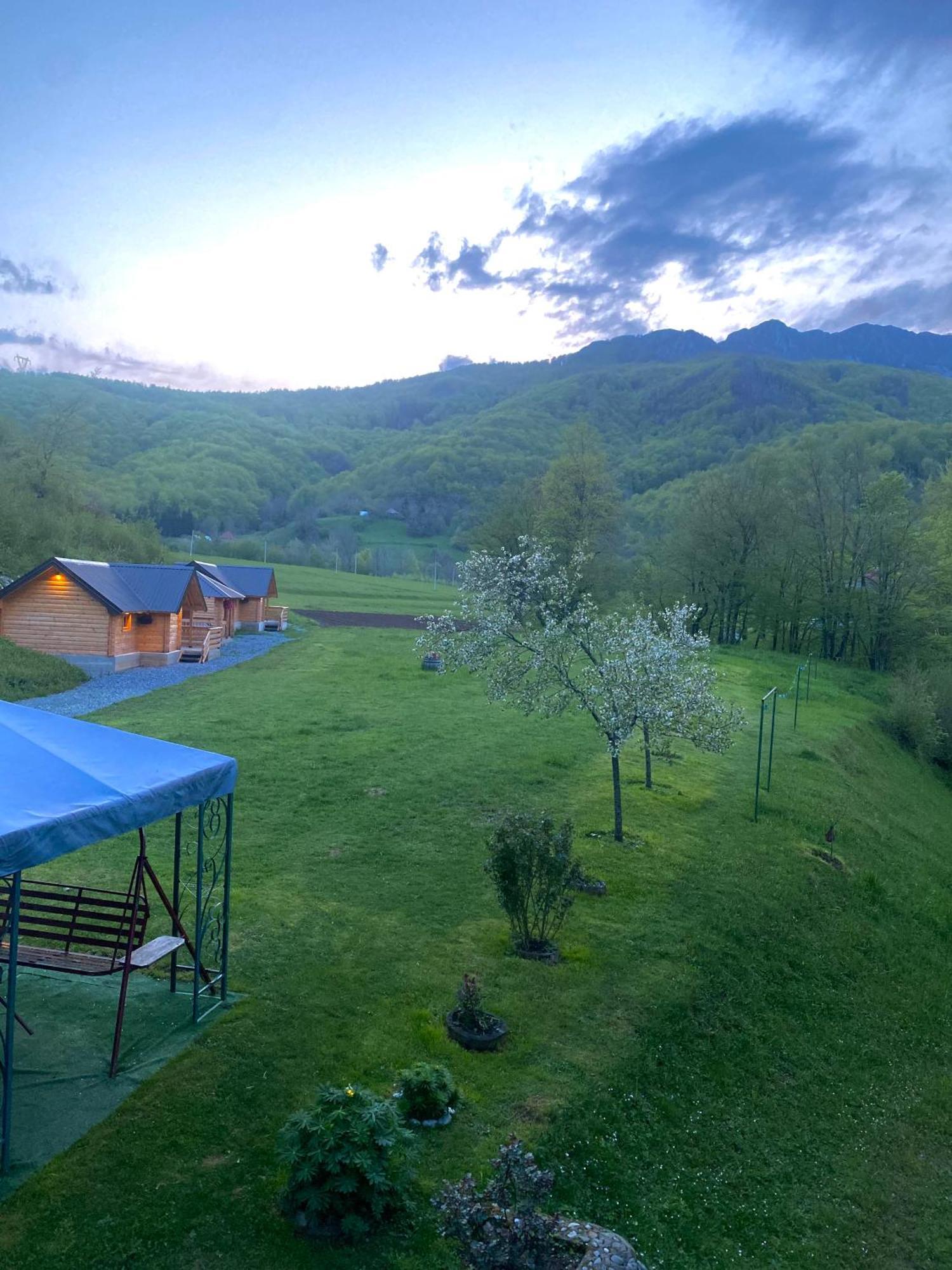 Wooden Corner Apartment Kolasin Exterior photo